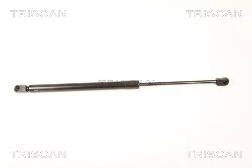 Gas Spring, boot/cargo area