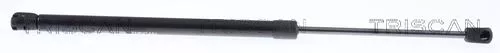 Gas Spring, boot/cargo area