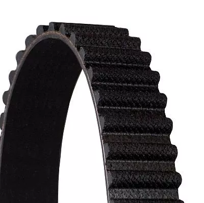 Timing Belt