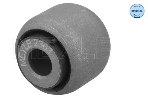 Mounting, control/trailing arm