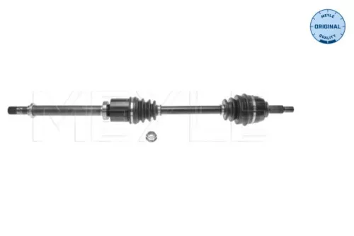 Drive Shaft
