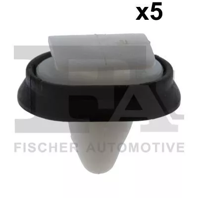 Clip, trim/protection strip