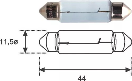 Bulb