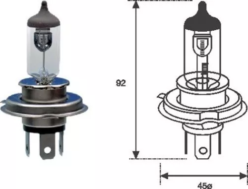 Bulb