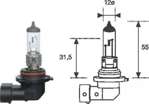 Bulb