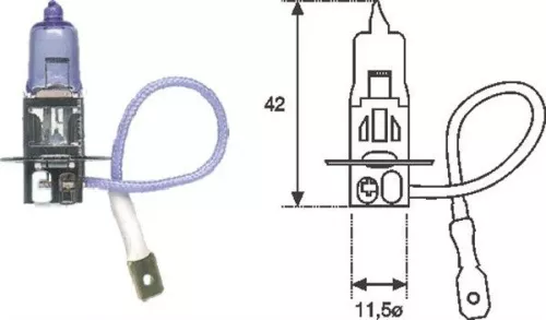 Bulb