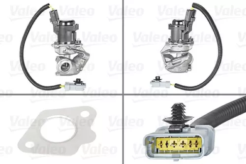 EGR Valve
