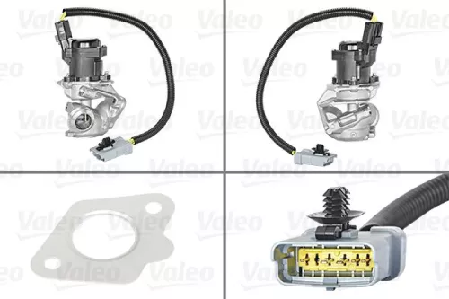 EGR Valve