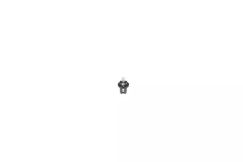 Bulb