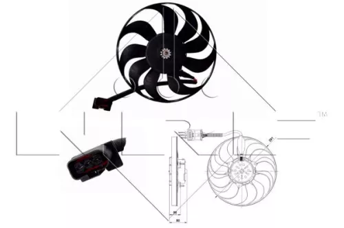 Fan, engine cooling