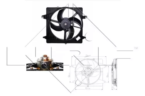 Fan, engine cooling