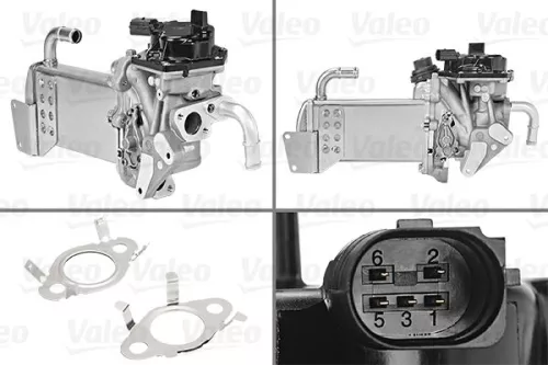 EGR Module