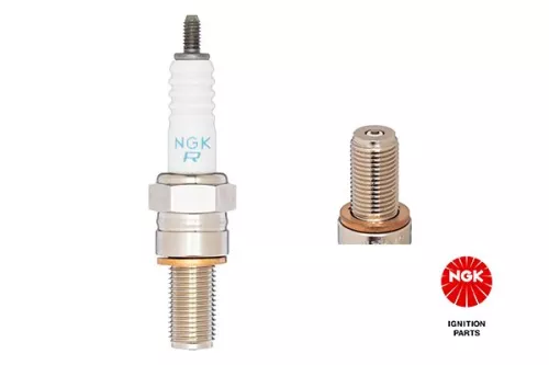 Spark Plug