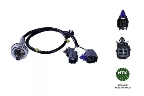 Oxygen Sensor