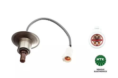Oxygen Sensor