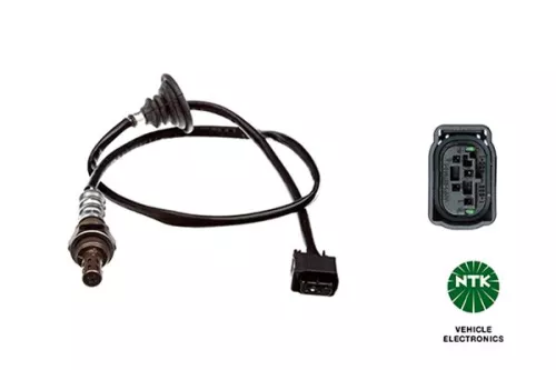 Oxygen Sensor