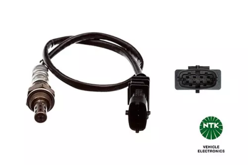 Oxygen Sensor
