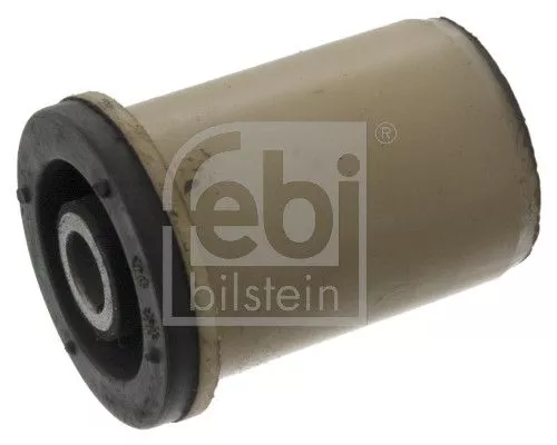 Mounting, control/trailing arm