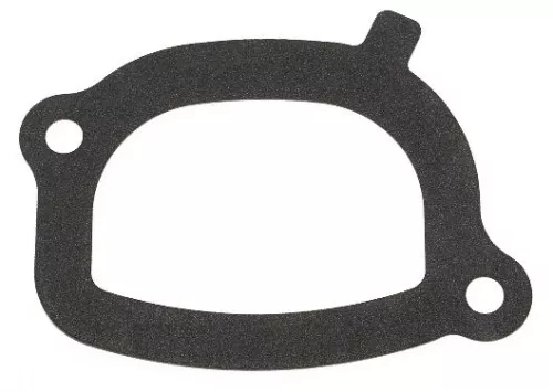 Gasket, thermostat housing