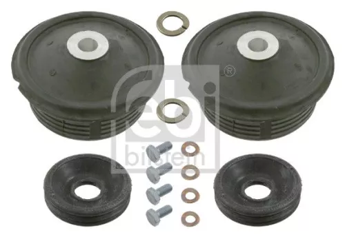 Bush Set, axle beam