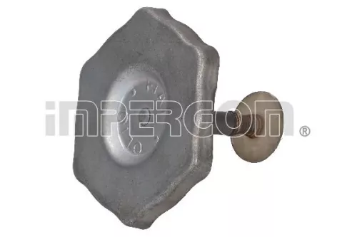 Sealing Cap, oil filler neck