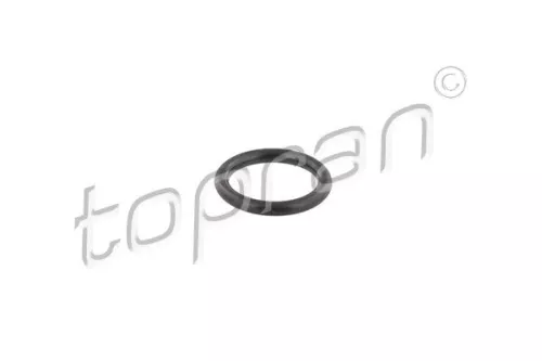 Seal Ring, injector