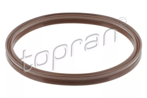 Seal Ring, charge air hose