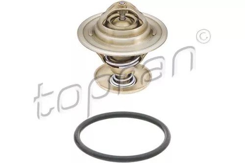 Thermostat, coolant