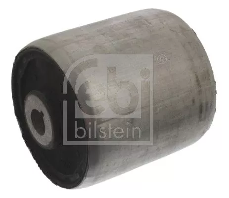 Mounting, control/trailing arm