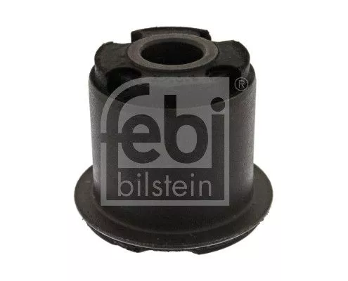 Mounting, control/trailing arm