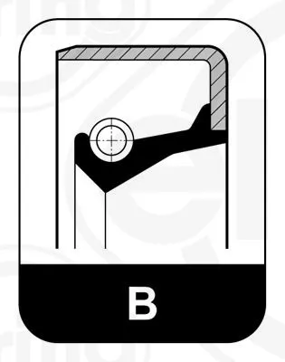 Seal Ring