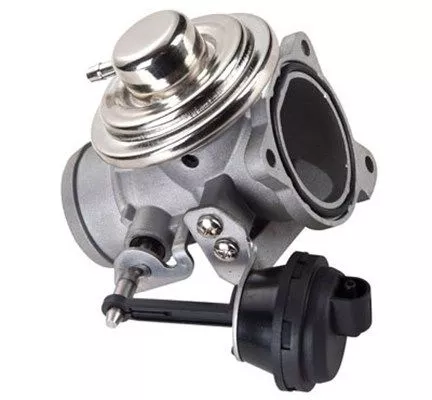 EGR Valve