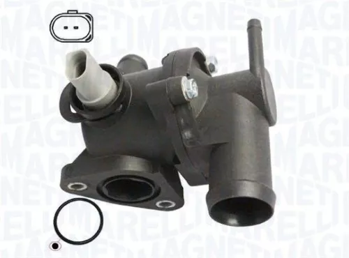 Thermostat, coolant