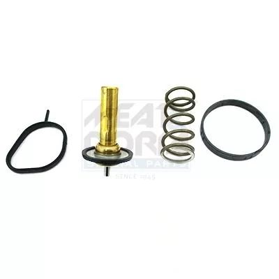 Thermostat, coolant