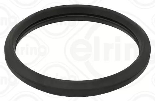 Seal Ring