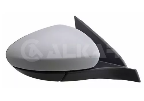 Exterior Mirror