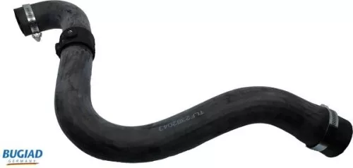 Charge Air Hose