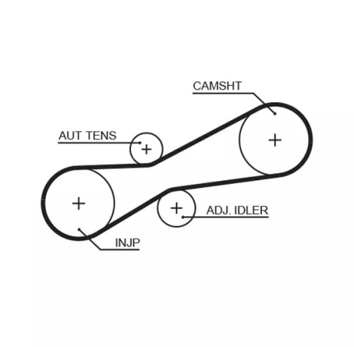 Timing Belt