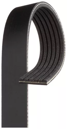 Poly V-Belt