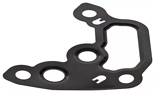 Gasket, vacuum pump