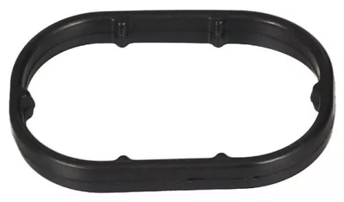 Gasket, oil cooler