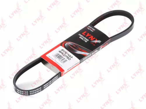 Poly V-Belt