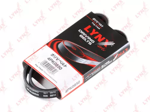 Poly V-Belt