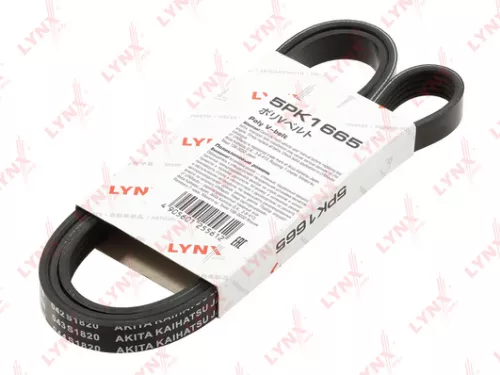 Poly V-Belt