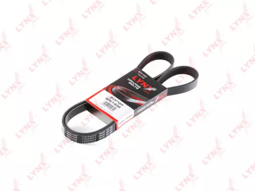 Poly V-Belt