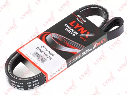 Poly V-Belt