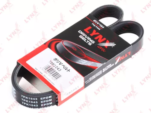 Poly V-Belt