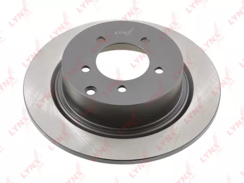 Brake disc, rear (302x10)