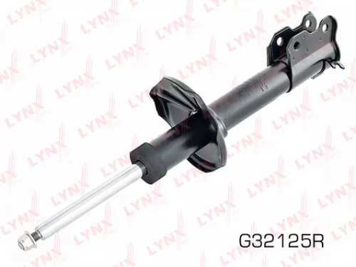 Shock absorber strut gas, right, front