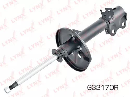 Shock absorber strut gas, right, front